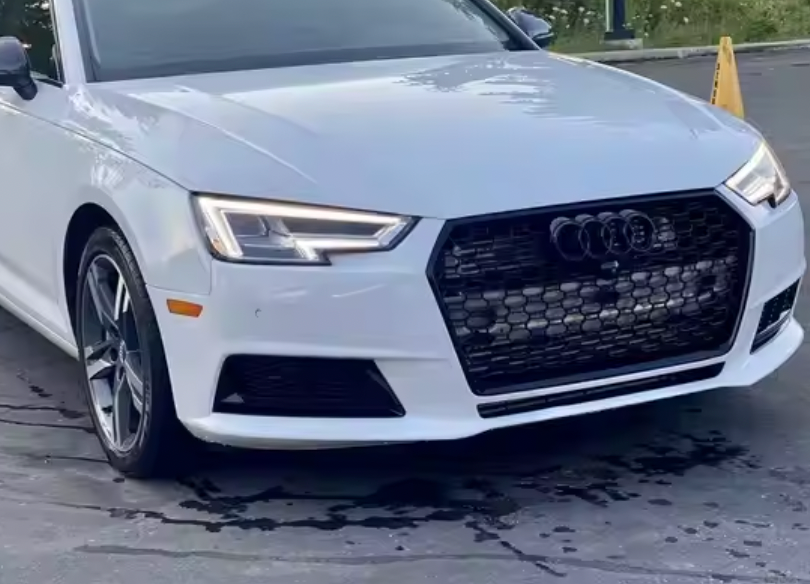 Dry Carbon Framed Honey Comb Grille A4, S4 B9 (2017-2019)